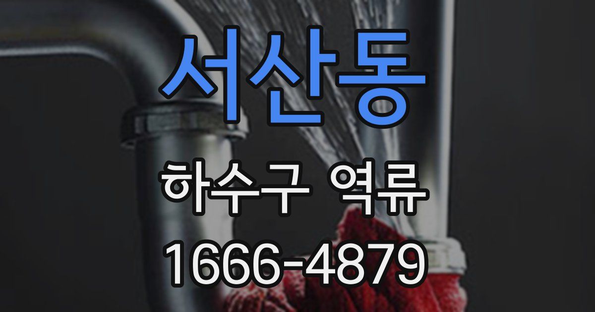 서산동 하수구 역류