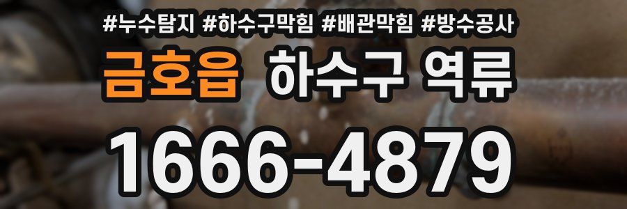 금호읍 하수구 역류