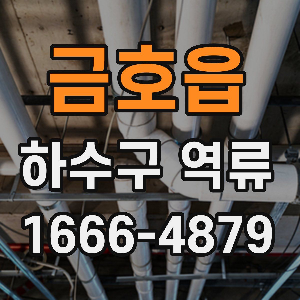 금호읍 하수구 역류