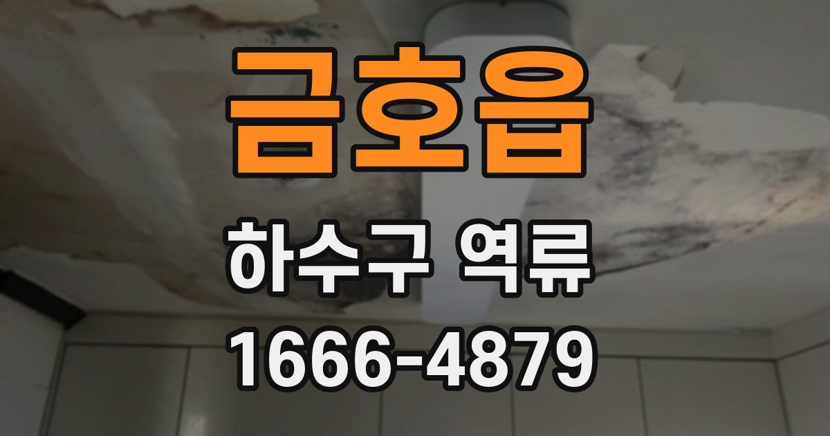 금호읍 하수구 역류