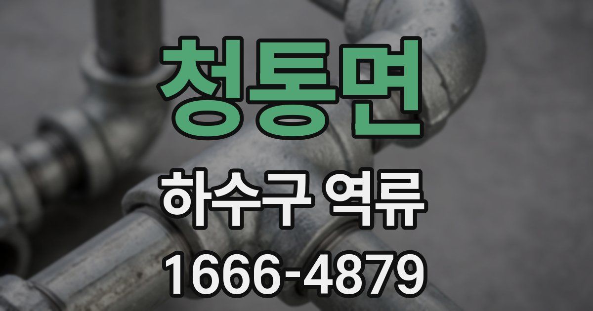 청통면 하수구 역류