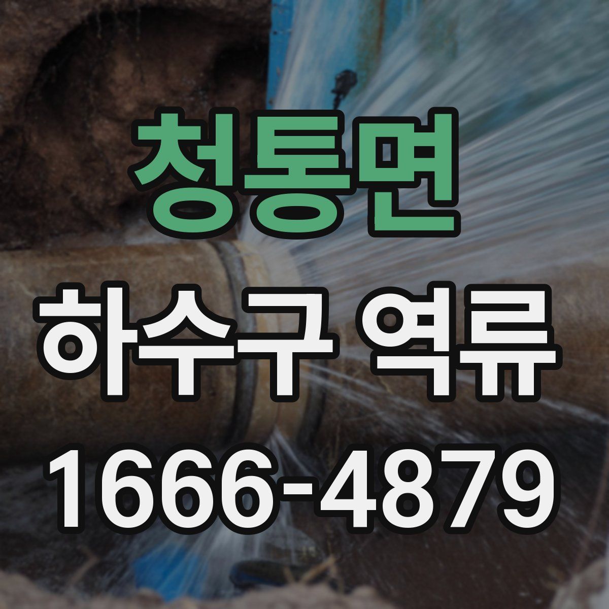 청통면 하수구 역류