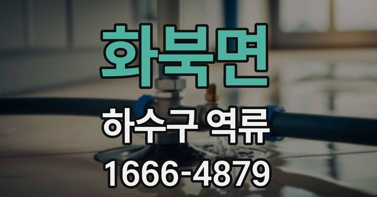 화북면 하수구 역류