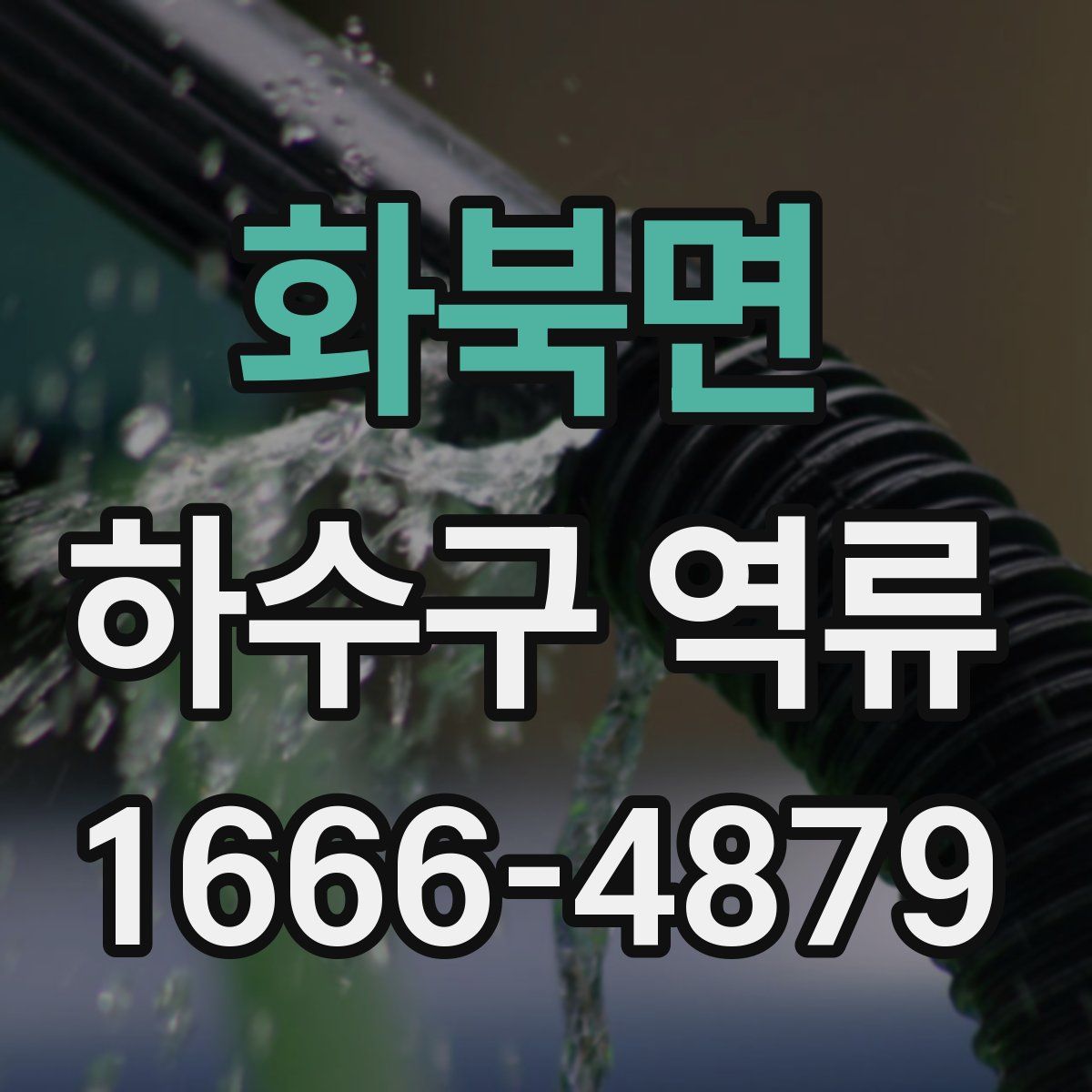 화북면 하수구 역류