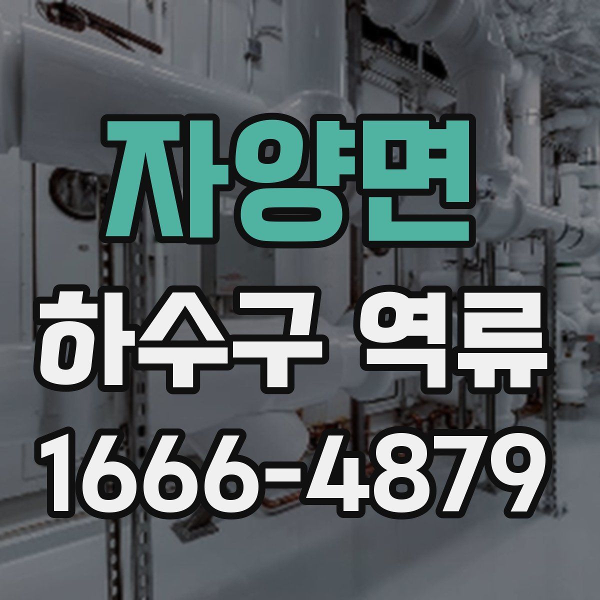 자양면 하수구 역류