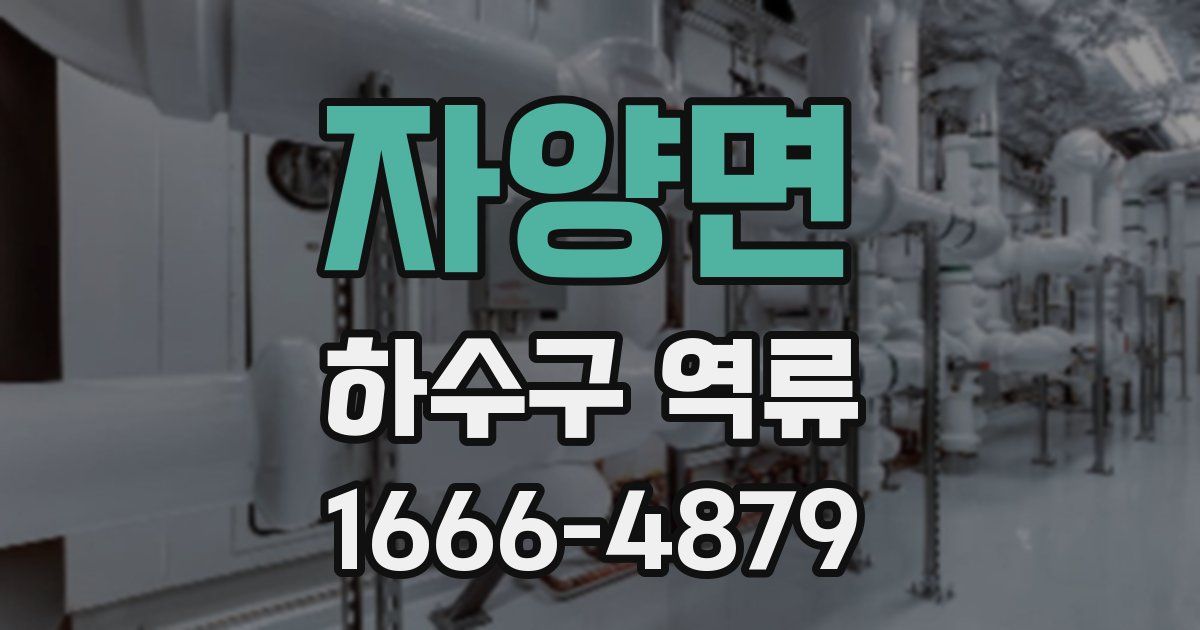 자양면 하수구 역류