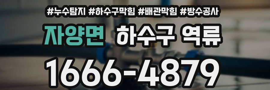 자양면 하수구 역류