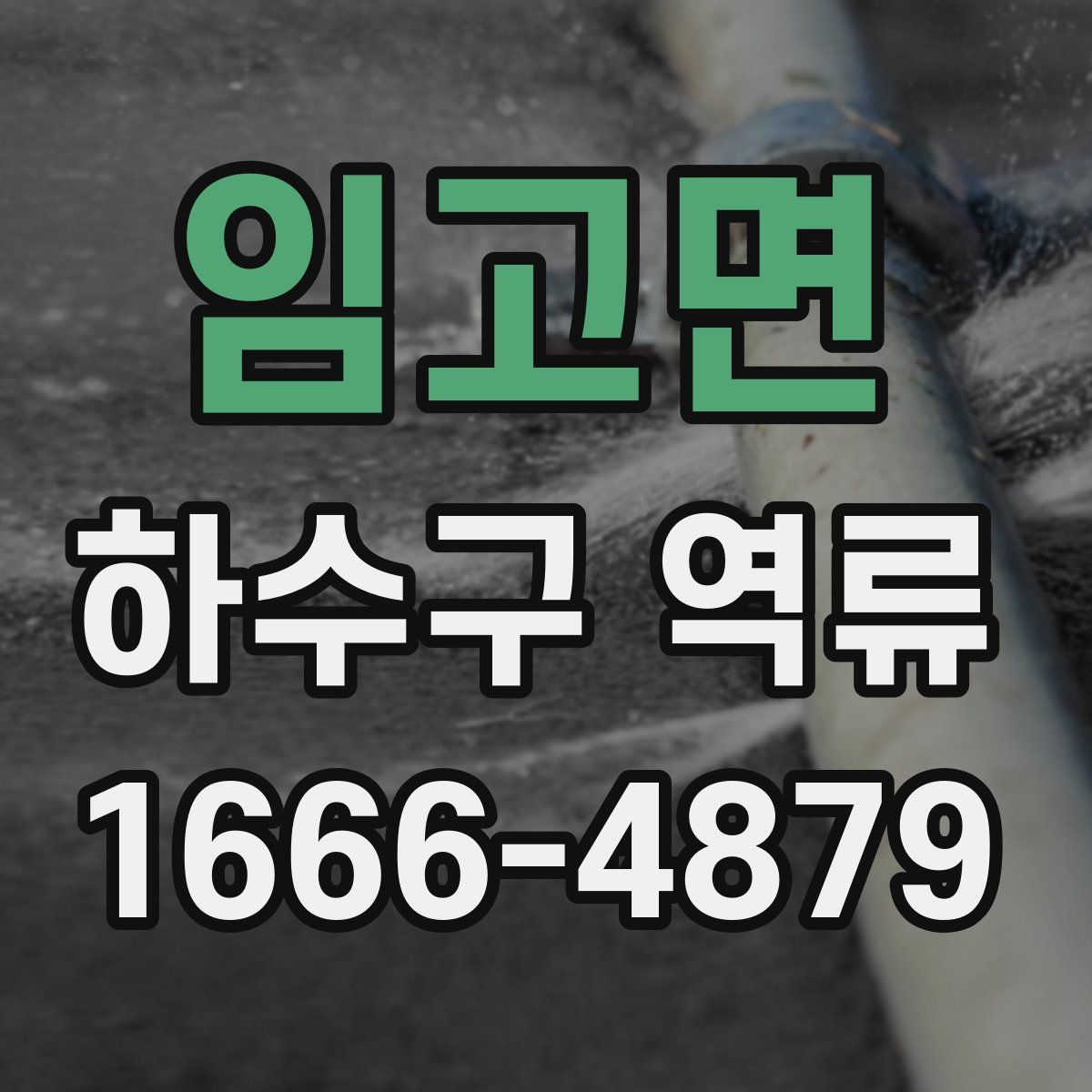 임고면 하수구 역류