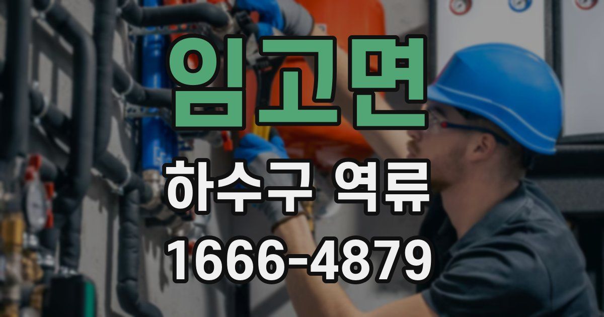 임고면 하수구 역류