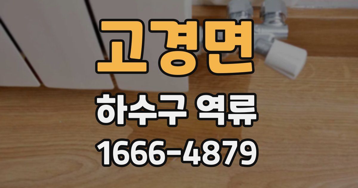 고경면 하수구 역류