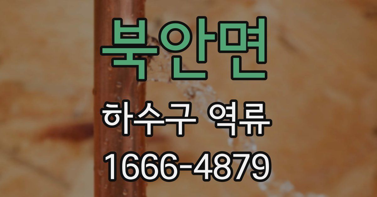 북안면 하수구 역류