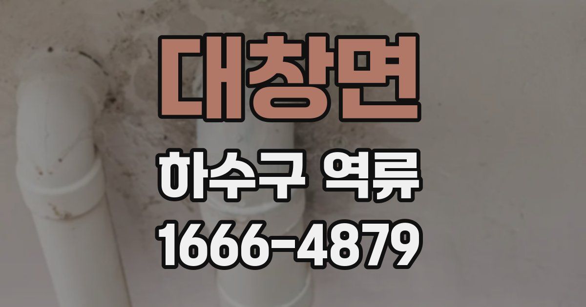 대창면 하수구 역류