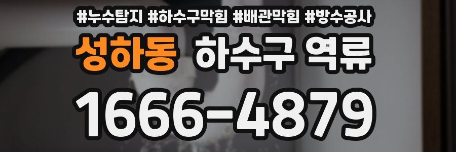 성하동 하수구 역류
