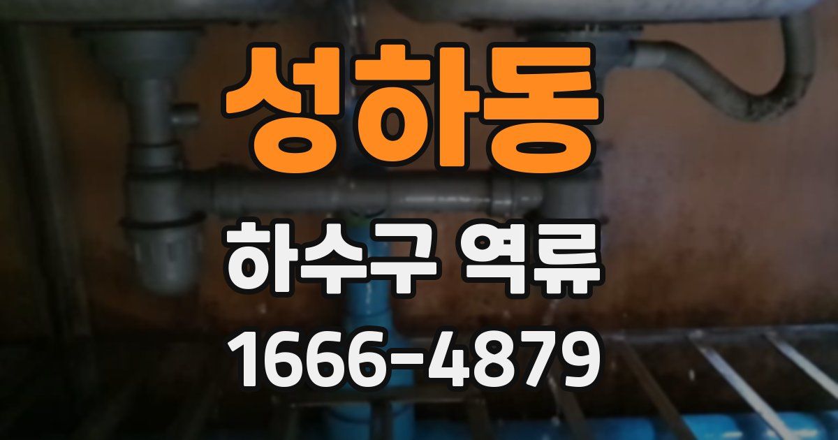 성하동 하수구 역류