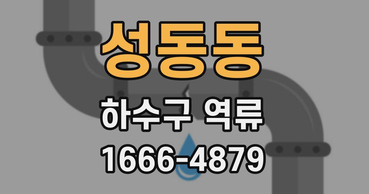 성동동 하수구 역류
