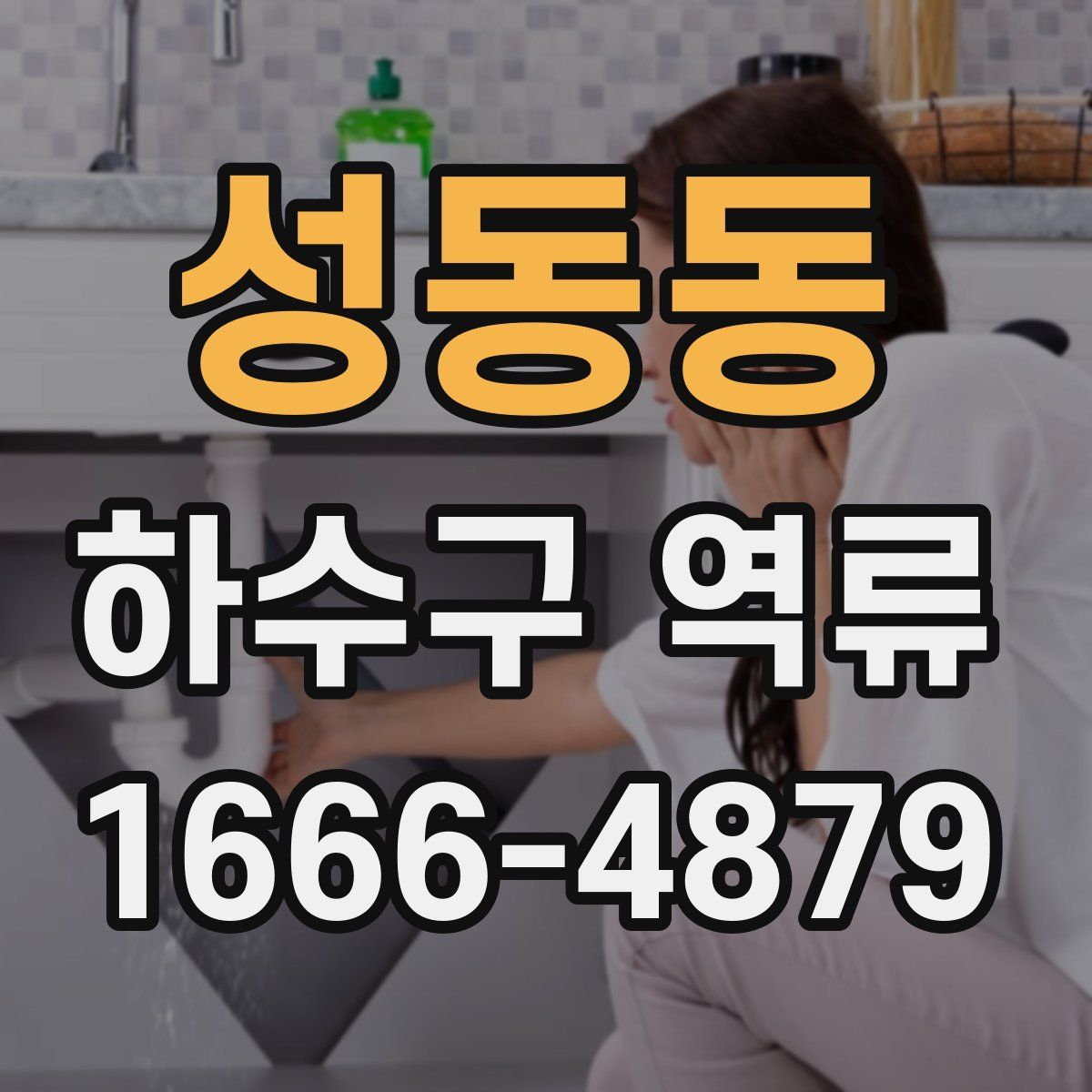 성동동 하수구 역류