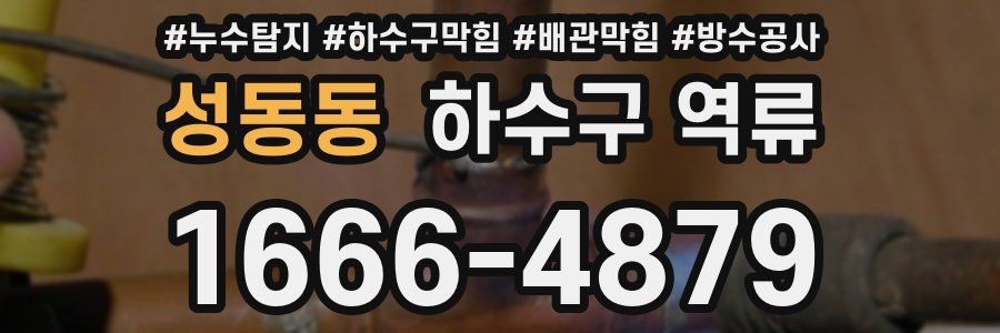 성동동 하수구 역류