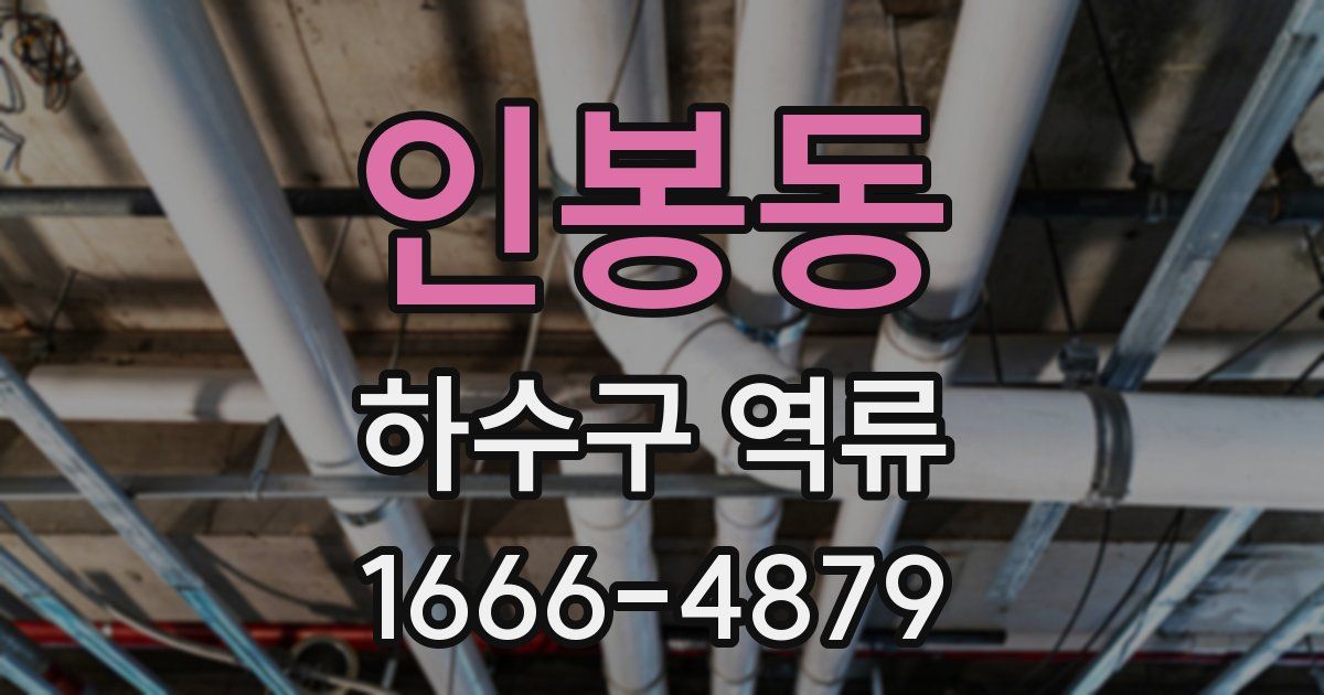 인봉동 하수구 역류