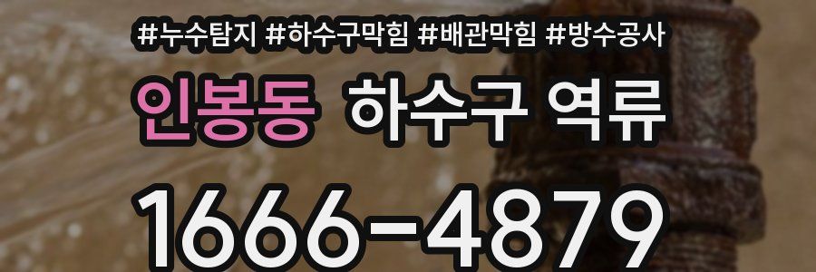인봉동 하수구 역류