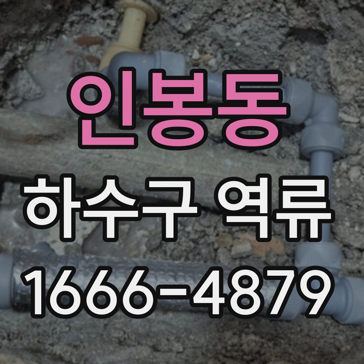 인봉동 하수구 역류