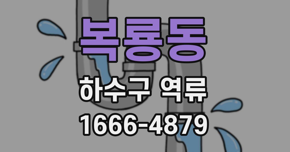 복룡동 하수구 역류