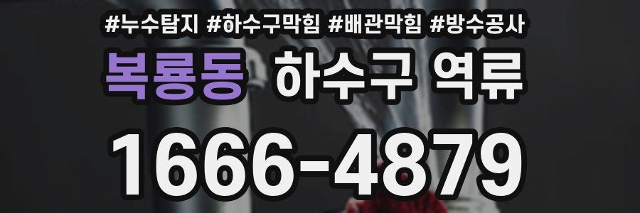 복룡동 하수구 역류