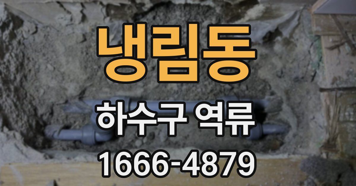 냉림동 하수구 역류