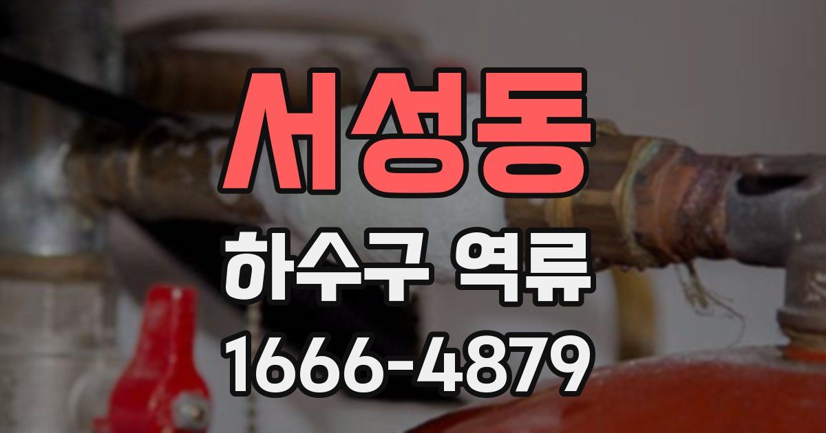 서성동 하수구 역류