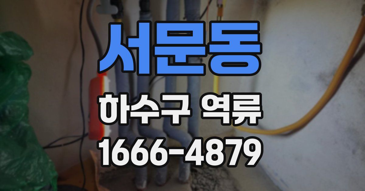 서문동 하수구 역류