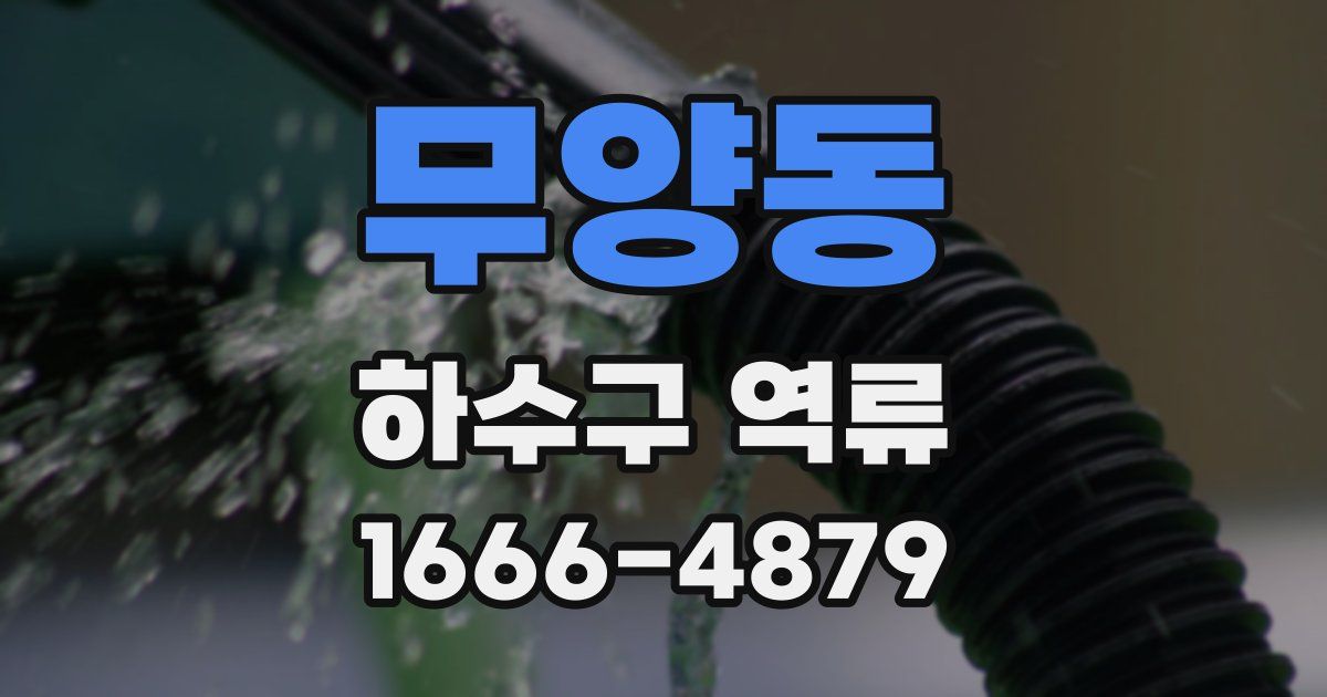 무양동 하수구 역류