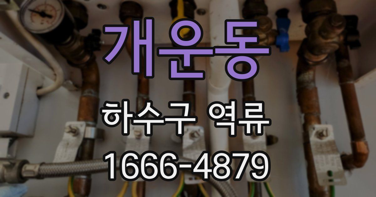 개운동 하수구 역류