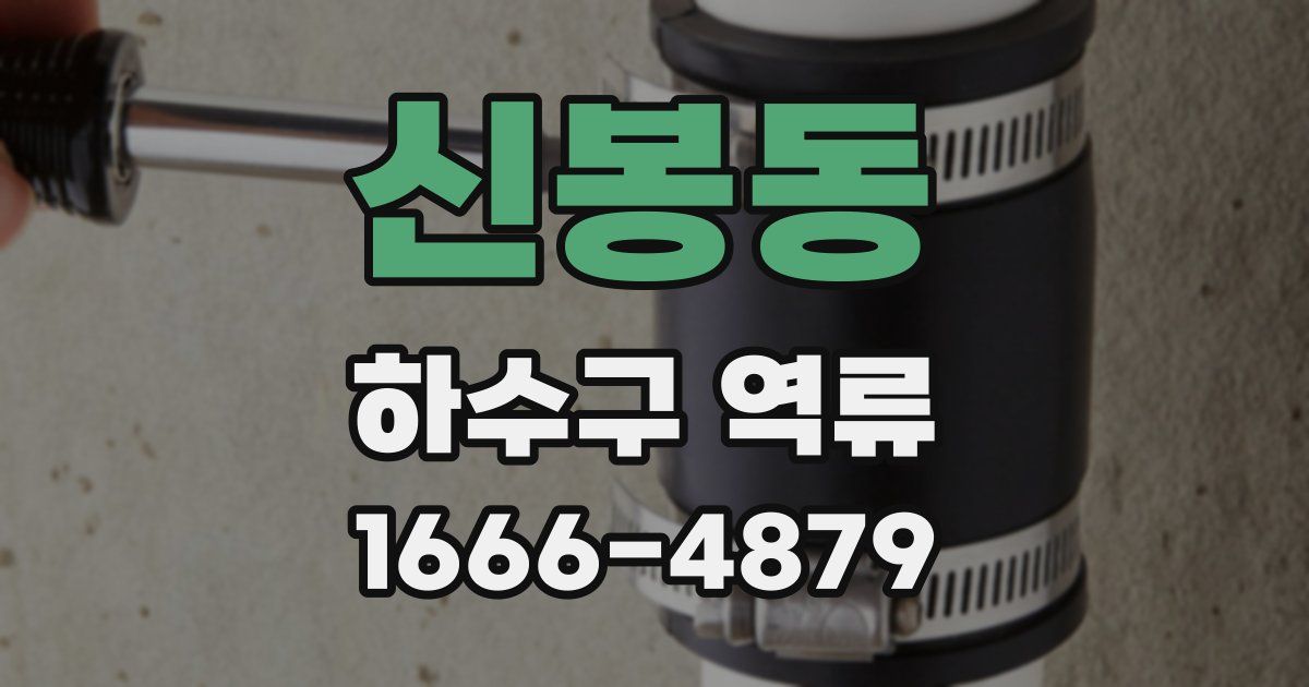 신봉동 하수구 역류