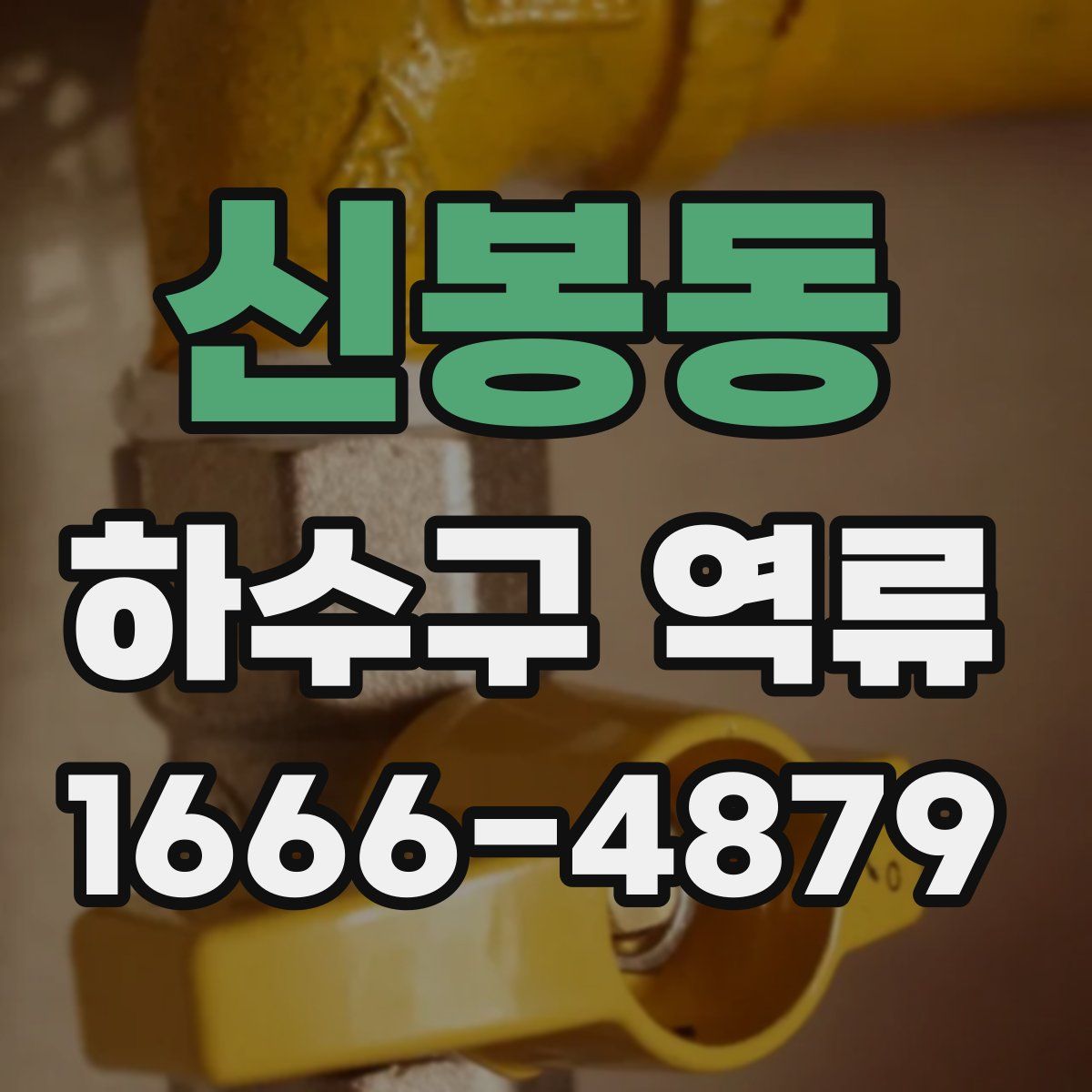 신봉동 하수구 역류