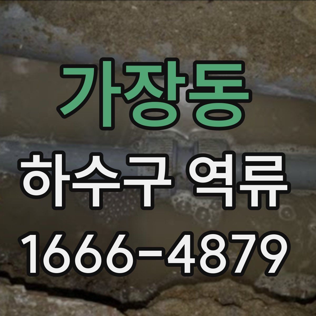 가장동 하수구 역류