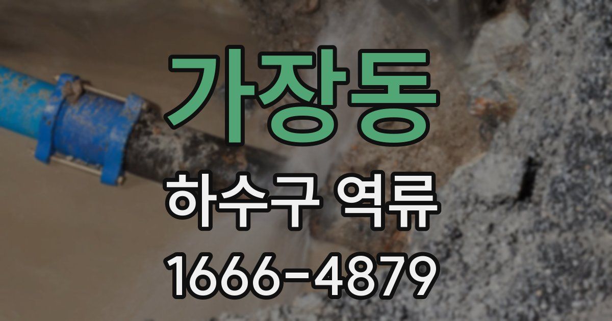 가장동 하수구 역류