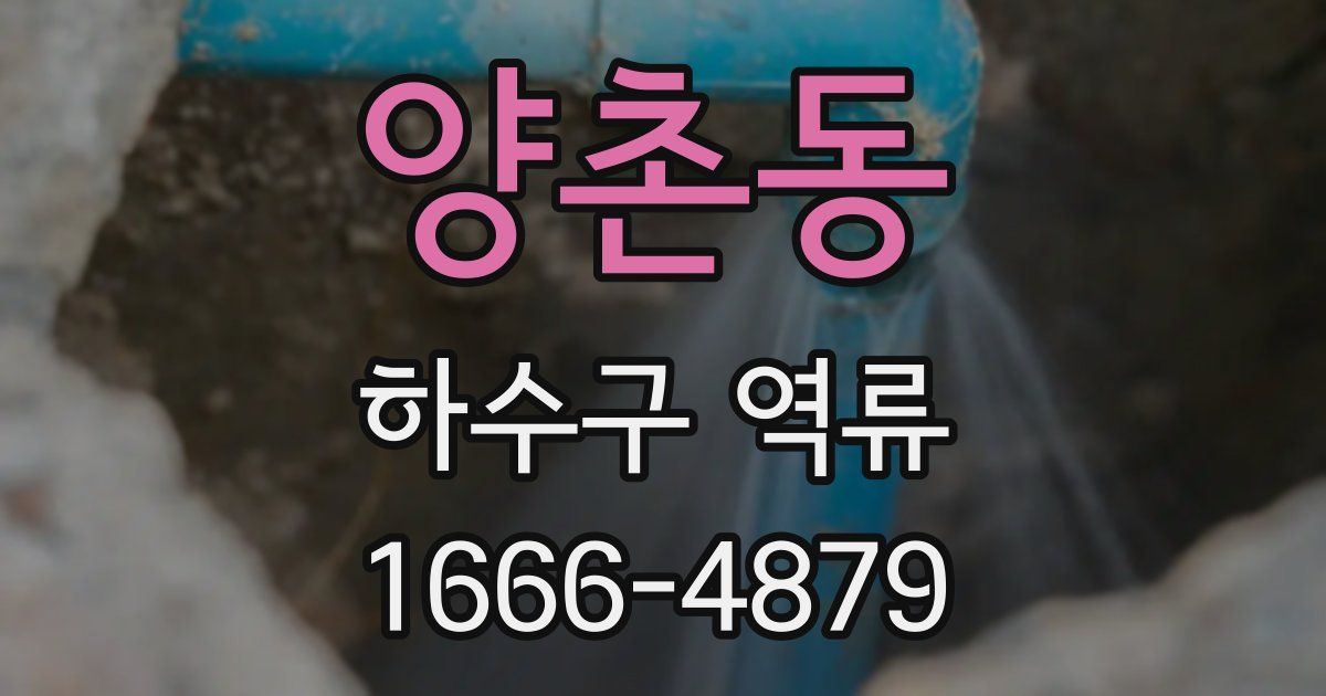 양촌동 하수구 역류