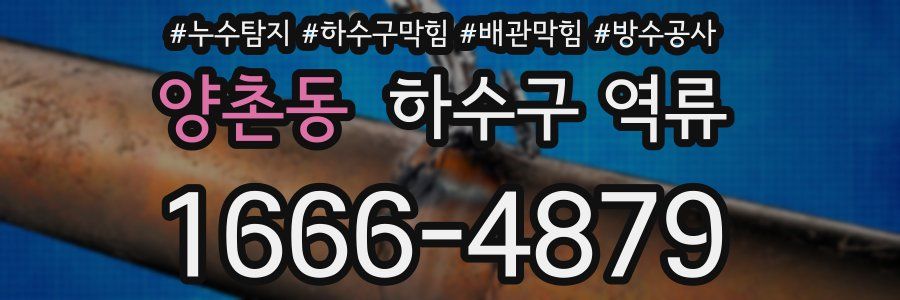 양촌동 하수구 역류