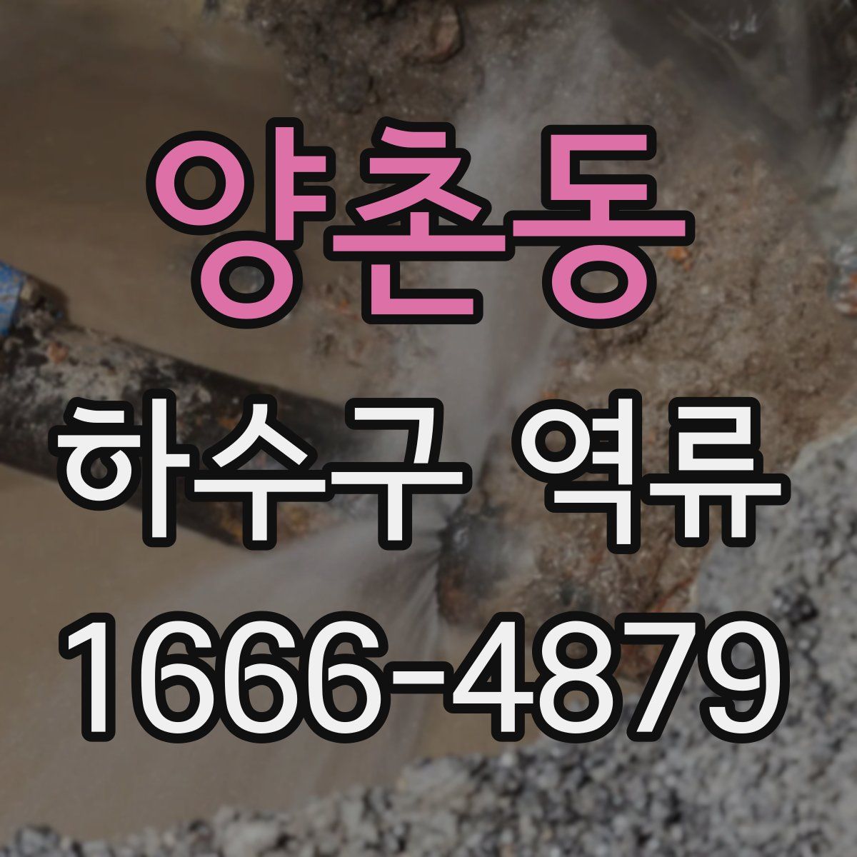 양촌동 하수구 역류