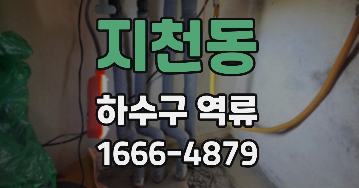 지천동 하수구 역류