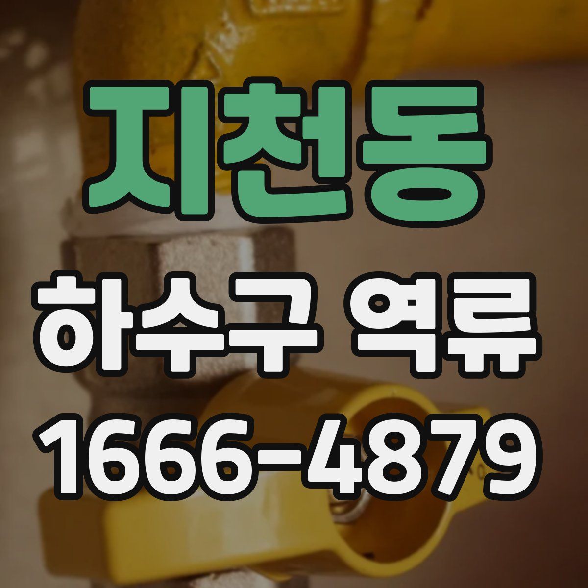 지천동 하수구 역류