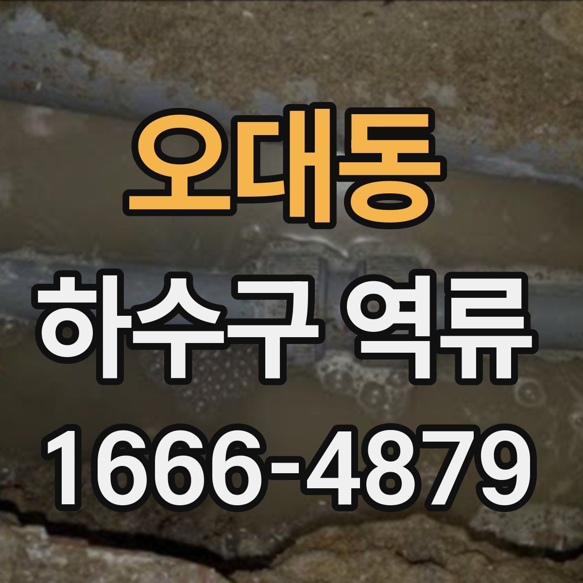 오대동 하수구 역류