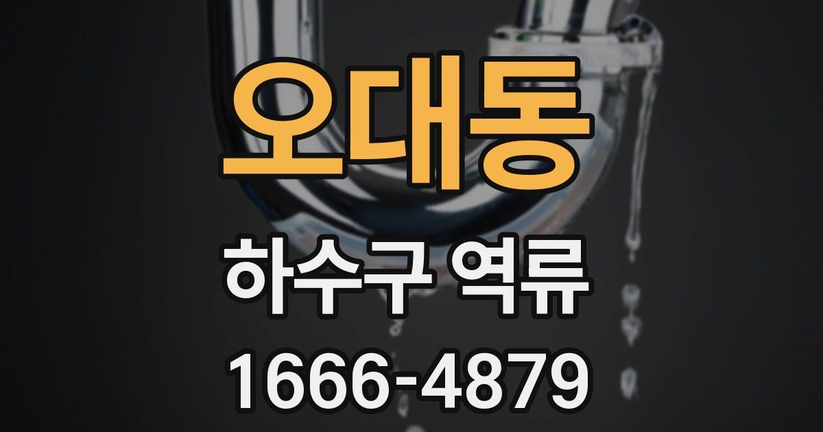 오대동 하수구 역류