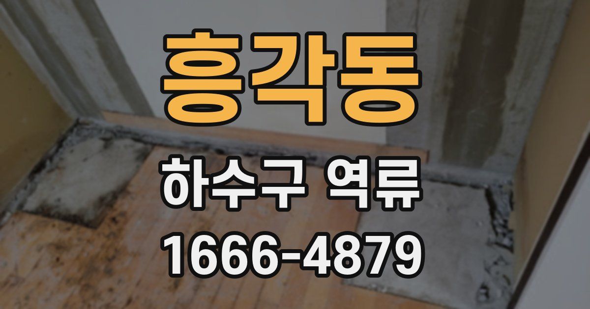 흥각동 하수구 역류