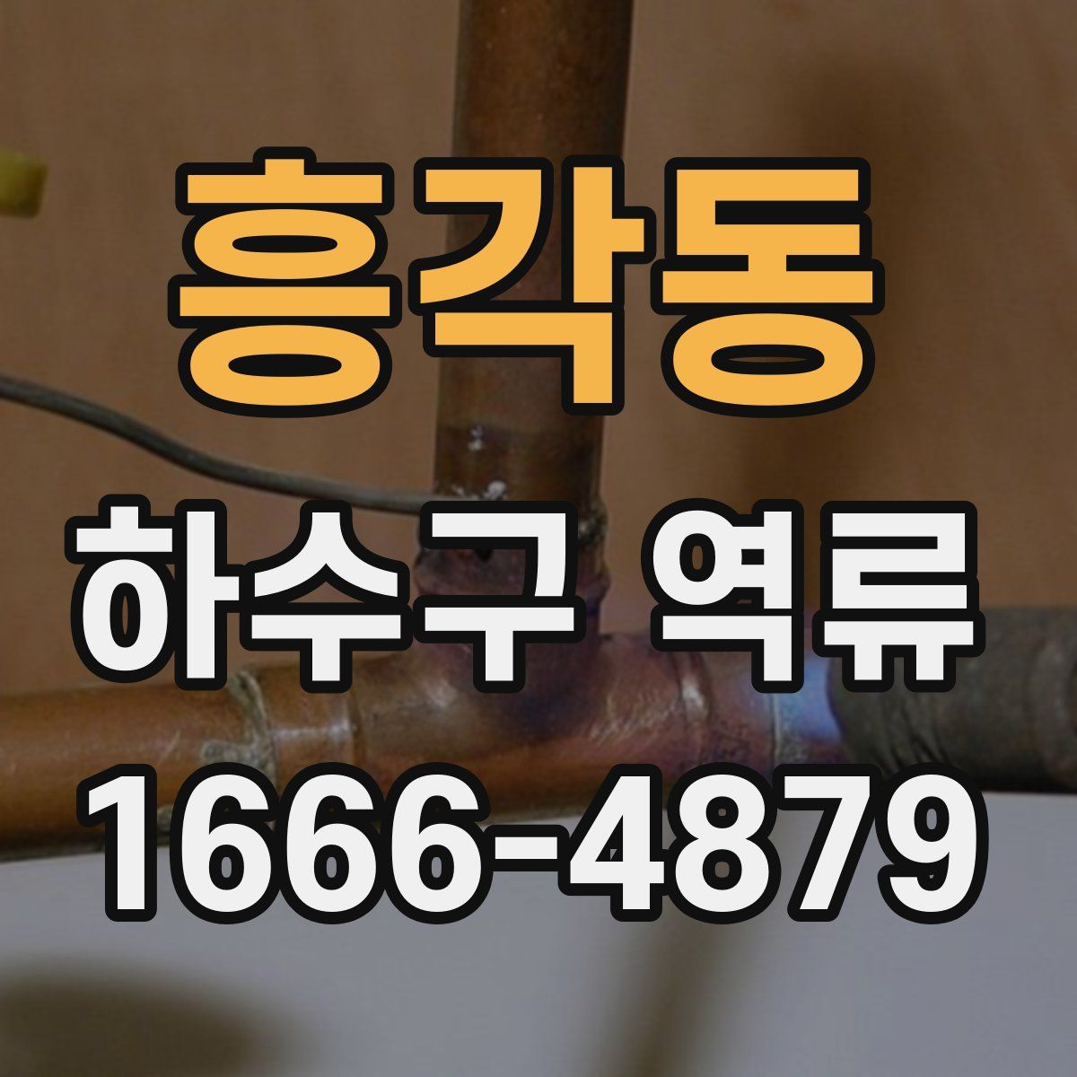 흥각동 하수구 역류
