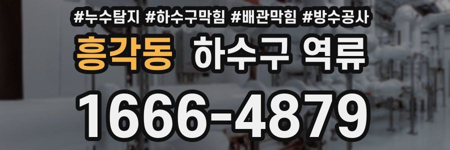 흥각동 하수구 역류