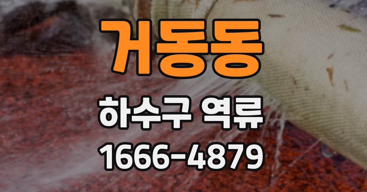 거동동 하수구 역류