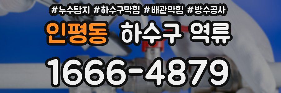 인평동 하수구 역류