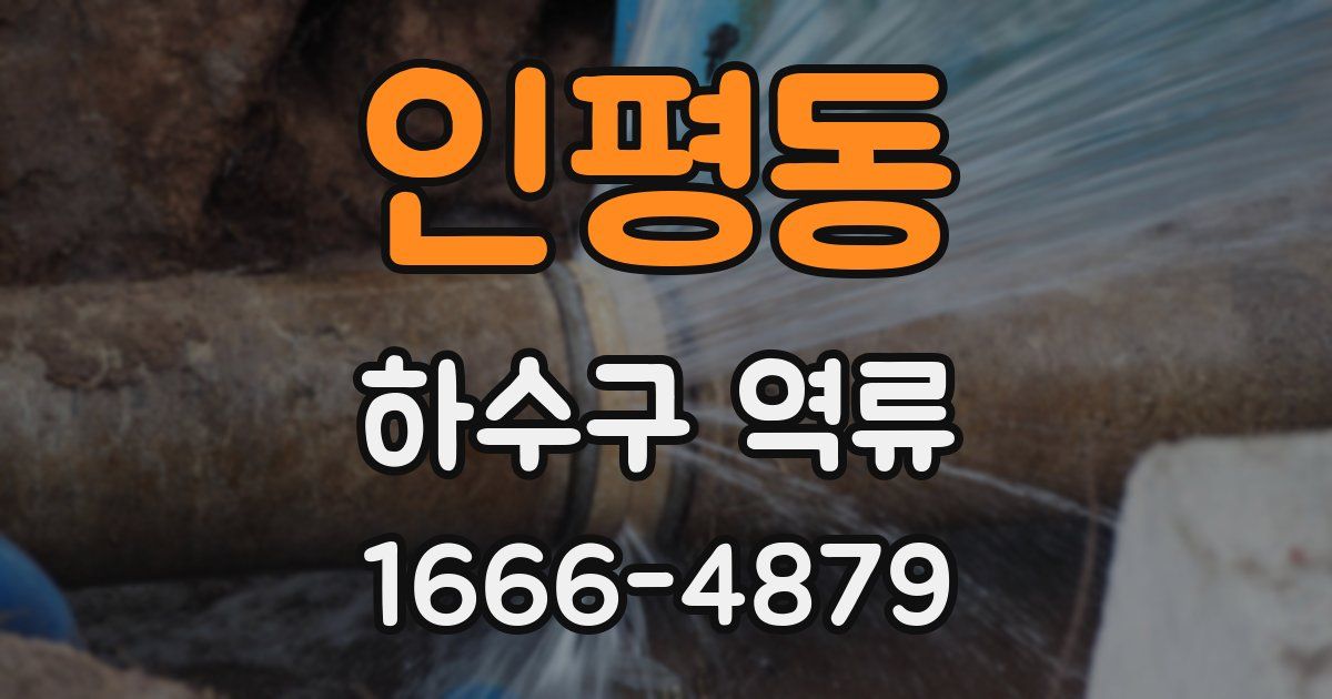 인평동 하수구 역류