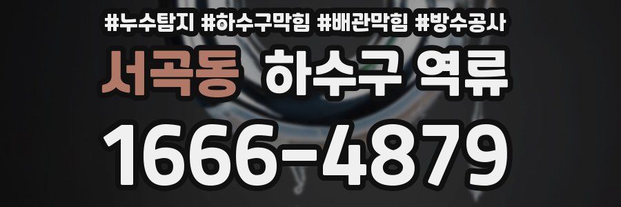 서곡동 하수구 역류