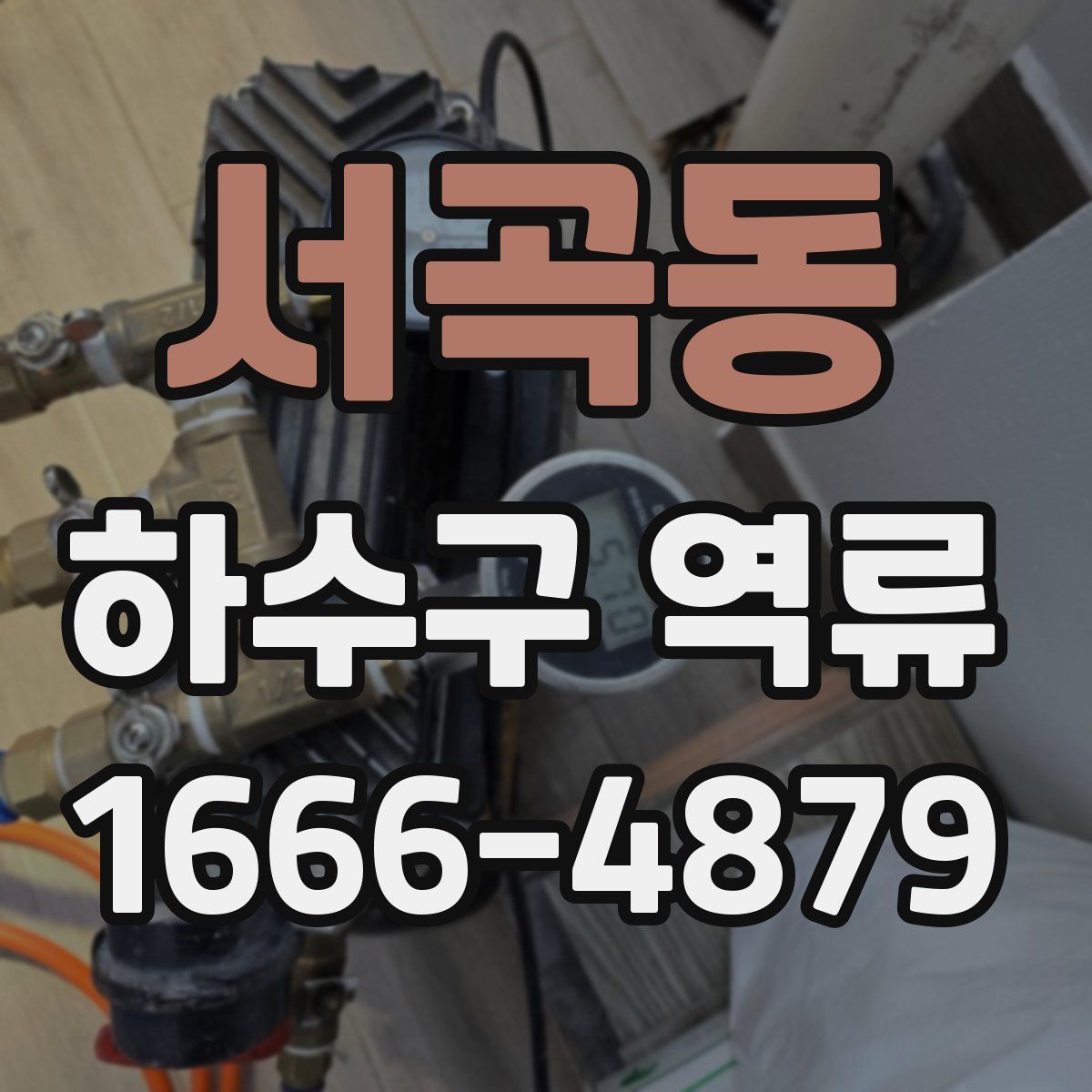 서곡동 하수구 역류